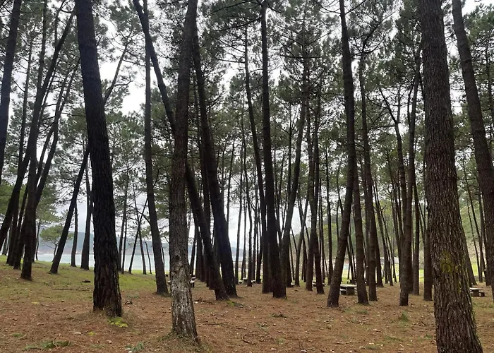 Grupo Gontad Mourelle Lejlighed *