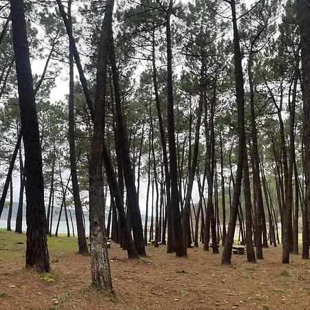 Grupo Gontad Mourelle Apartment *